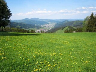 Apartment Welschensteinach Environment 32