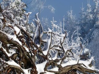 Appartamento Welschensteinach Ambiente 26