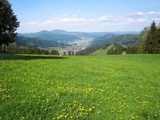 Appartement Welschensteinach Omgeving 32