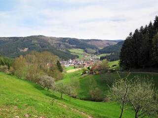 Apartment Welschensteinach Umgebung 22