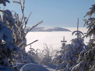 Apartamento Welschensteinach Entorno 28