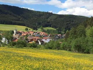 Appartement Welschensteinach Omgeving 27