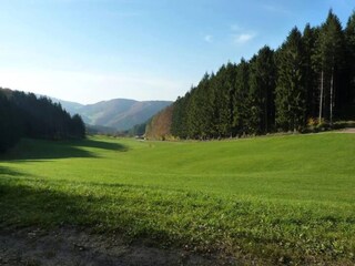 Appartamento Welschensteinach Ambiente 40