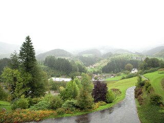 Apartamento Bad Peterstal-Griesbach Entorno 31