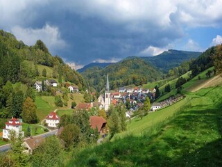 Appartement Bad Peterstal-Griesbach Environnement 28