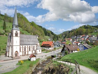 Appartement Bad Peterstal-Griesbach Environnement 30