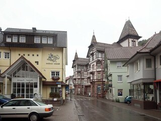 Appartement Bad Peterstal-Griesbach Environnement 32