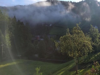 Apartment Bad Peterstal-Griesbach Environment 32