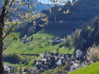 Apartment Bad Peterstal-Griesbach Environment 28