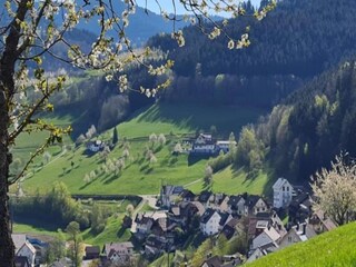 Appartement Bad Peterstal-Griesbach Omgeving 28