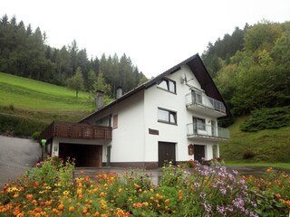 Appartement Bad Peterstal-Griesbach Enregistrement extérieur 24