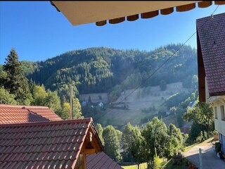 Appartement Bad Peterstal-Griesbach Environnement 37