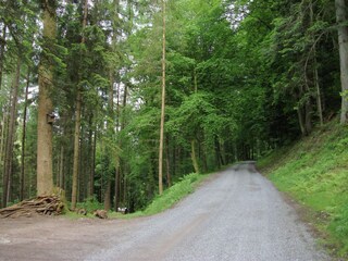 Appartement Schiltach Environnement 13
