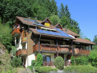 Appartement Schiltach Buitenaudio-opname 5