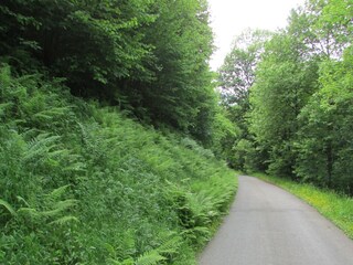 Appartamento Schiltach Ambiente 16