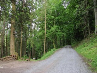 Appartement Schiltach Omgeving 12