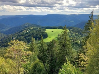 Apartment Schiltach Environment 24