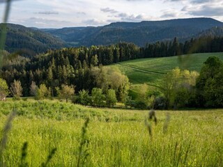 Appartement Schiltach Environnement 25