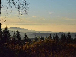 Appartement Schiltach Environnement 18