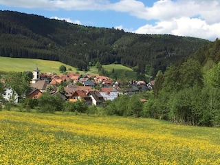 Apartment Schiltach Umgebung 22