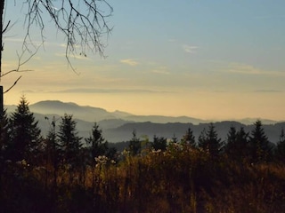 Apartment Schiltach Umgebung 36