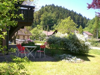 Apartment Bad Rippoldsau Outdoor Recording 10