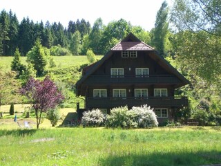 Apartment Bad Rippoldsau Außenaufnahme 10