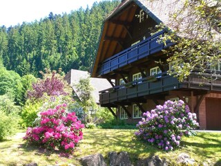 Apartamento Bad Rippoldsau Grabación al aire libre 9