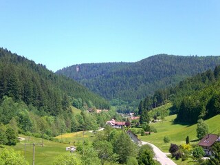 Apartamento Bad Rippoldsau Entorno 33