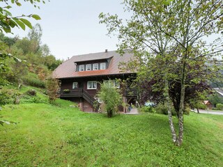 Apartment Bad Rippoldsau Outdoor Recording 5