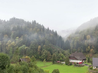 Apartment Bad Rippoldsau Außenaufnahme 8