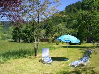 Apartment Bad Rippoldsau Outdoor Recording 9
