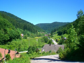 Apartment Bad Rippoldsau Umgebung 19
