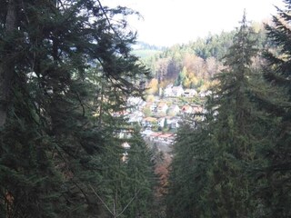 Apartment Bad Rippoldsau Umgebung 22