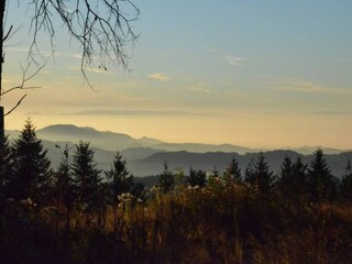 Appartamento Bad Rippoldsau Ambiente 35