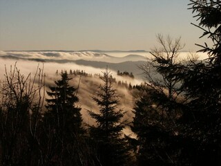 Appartamento Bad Rippoldsau Ambiente 35