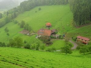 Wohnung auf einem Bauernhof am Waldrand - Mühlenbach - image1