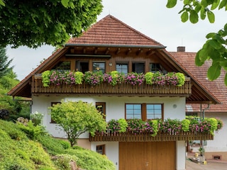 Bauernhof Schuttertal Außenaufnahme 1