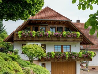 Boerderij Schuttertal Buitenaudio-opname 6