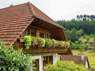 Bauernhof Schuttertal Außenaufnahme 6