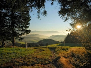 Bauernhof Schuttertal Umgebung 31