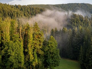 Type de propriété : Ferme Schuttertal Environnement 36