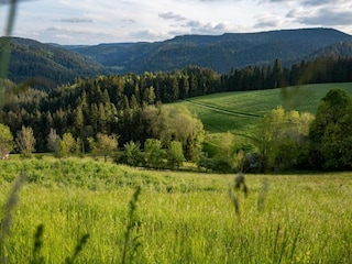 Bauernhof Schuttertal Umgebung 40