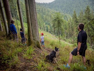 Fattoria Schuttertal Ambiente 39