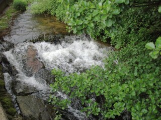 Fattoria Schuttertal Ambiente 40
