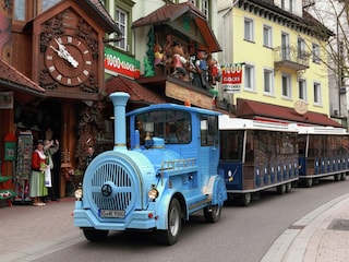 Appartement Triberg Environnement 14