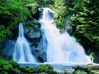 Apartment Triberg Umgebung 14