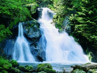 Appartamento Triberg Ambiente 27