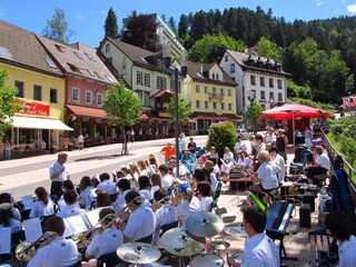 Apartamento Triberg Entorno 25