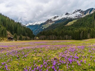 Apartamento Triberg Entorno 27